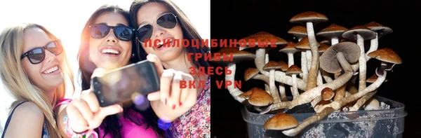 apvp Фёдоровский