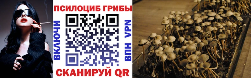 купить наркоту Томск Галлюциногенные грибы Cubensis