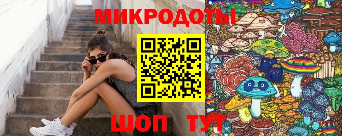 Галлюциногенные грибы Psilocybine cubensis Томск