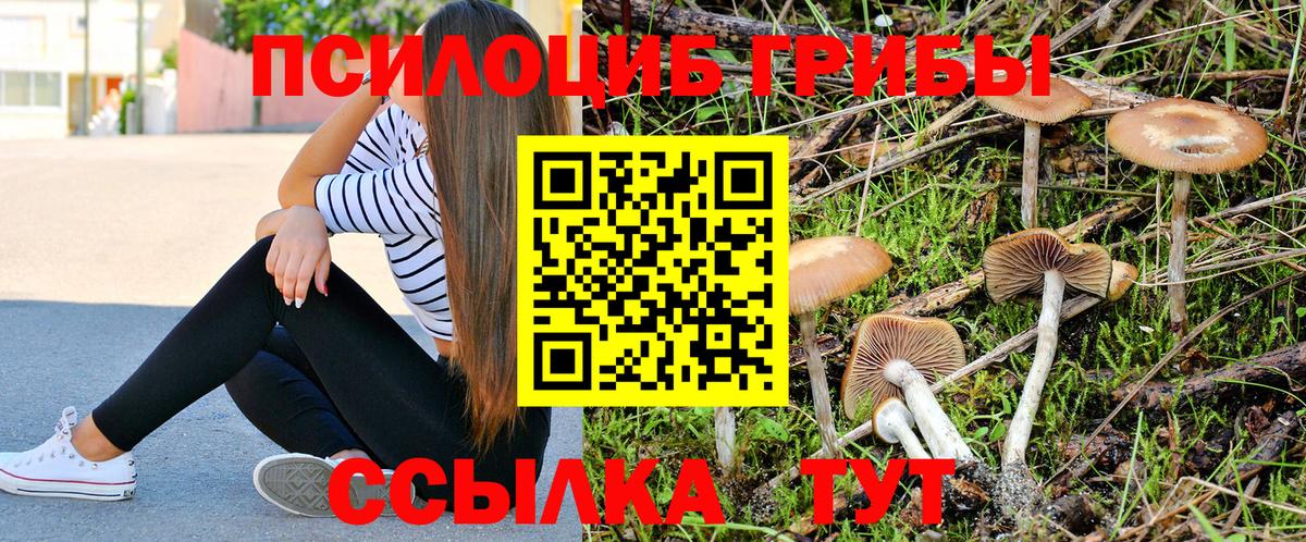 Псилоцибиновые грибы GOLDEN TEACHER  Псилоцибиновые грибы Cubensis  Томск 