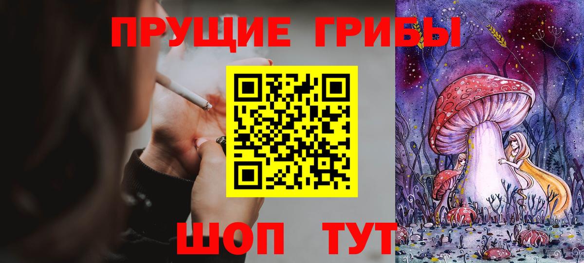 Галлюциногенные грибы Psilocybine cubensis Томск